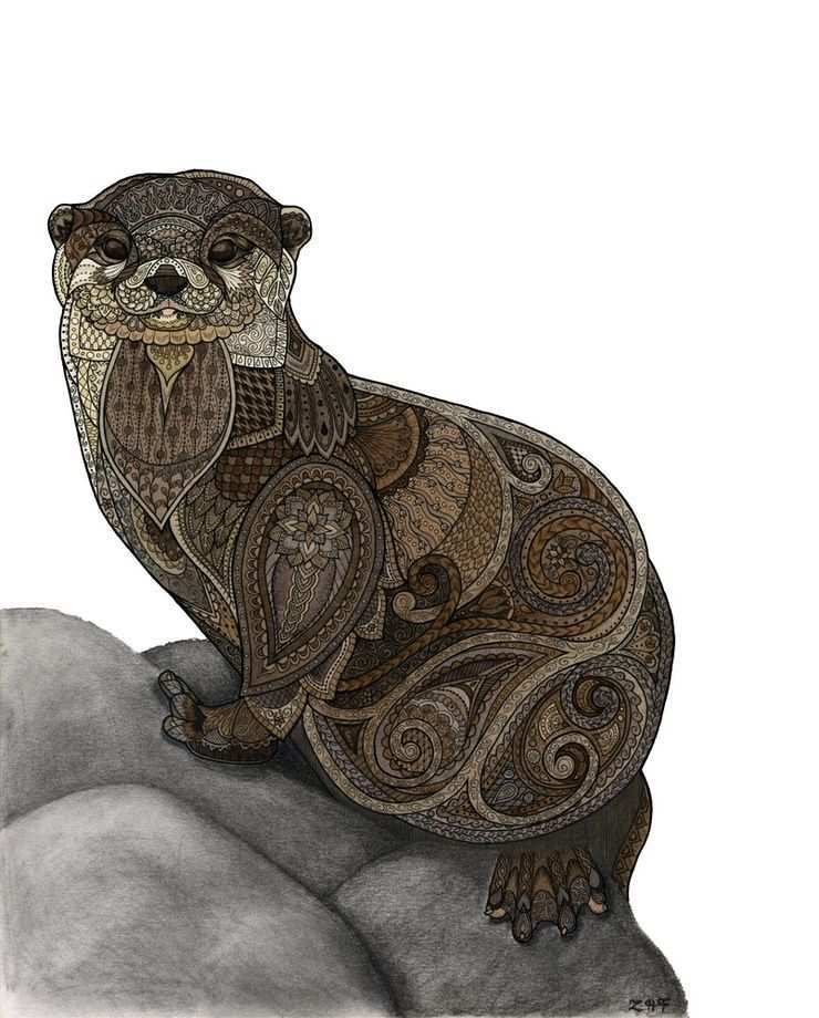 Otter An Art Print By Zanna Field Kunstwerk Kleurplaten Dieren