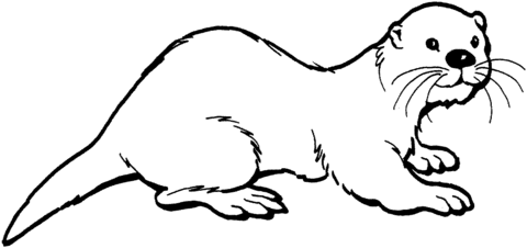 Otter 2 Coloring Page Otters Dolphin Coloring Pages Animal Coloring Pages