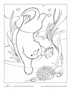Sea Otter Coloring Page Coloring Pages Otters Free Coloring Pages