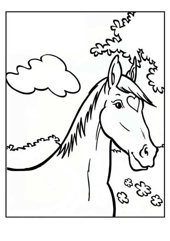 Kleurplaat Paard Amika Horse Coloring Pages Coloring Pages Cool Coloring Pages