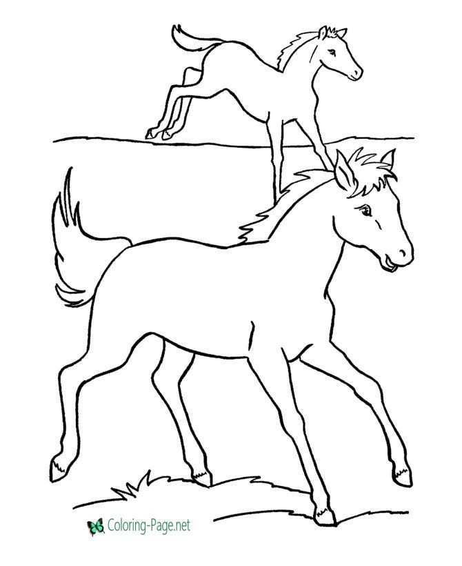 Horse Coloring Pages Desenhos Cavalo Desenho Desenho
