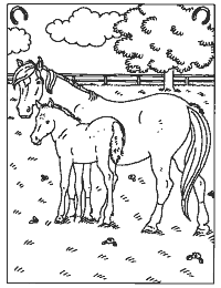 Een Paard Met Veulen In De Wei Kleurplaten Voor Kinderen Kleurboek Paarden
