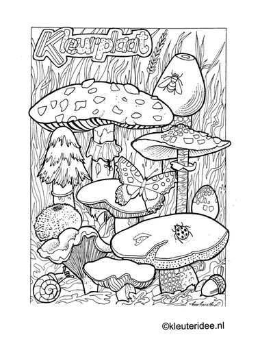 Kleurplaat Herfst Paddestoelen Kleuteridee Nl Autumn Mushrooms Preschool Coloring In 2020 Kleurboek Kleurplaten Boek Bladzijden Kleuren