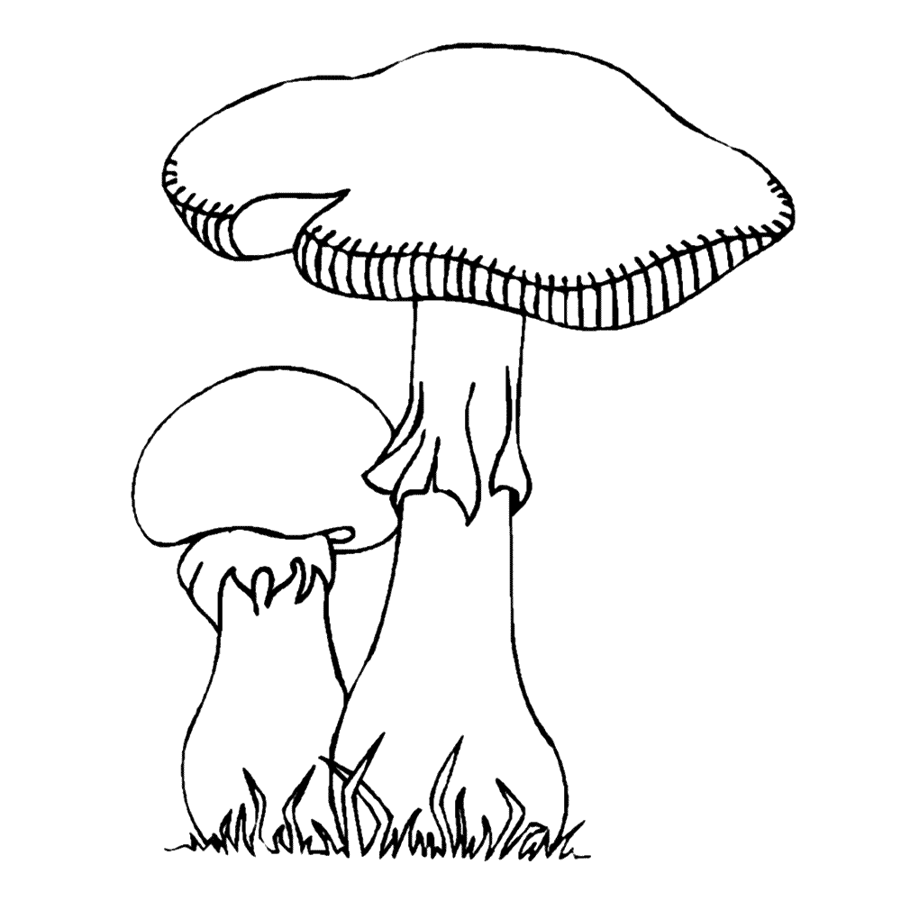 Leuk Voor Kids Twee Paddestoelen Paddestoelen 0003 Paddenstoel Tekening Mozaiekpatron