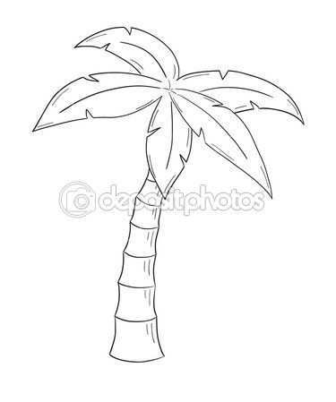 Schets Van De Palmboom Op Witte Achtergrond Geisoleerd Bloemtekening Lessen Palmboom