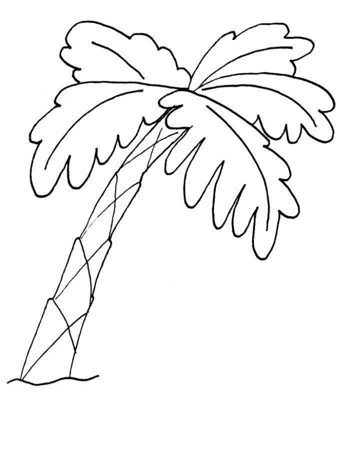 Palm Tree Tree Coloring Page Coloring Pages Magnolia Stamps