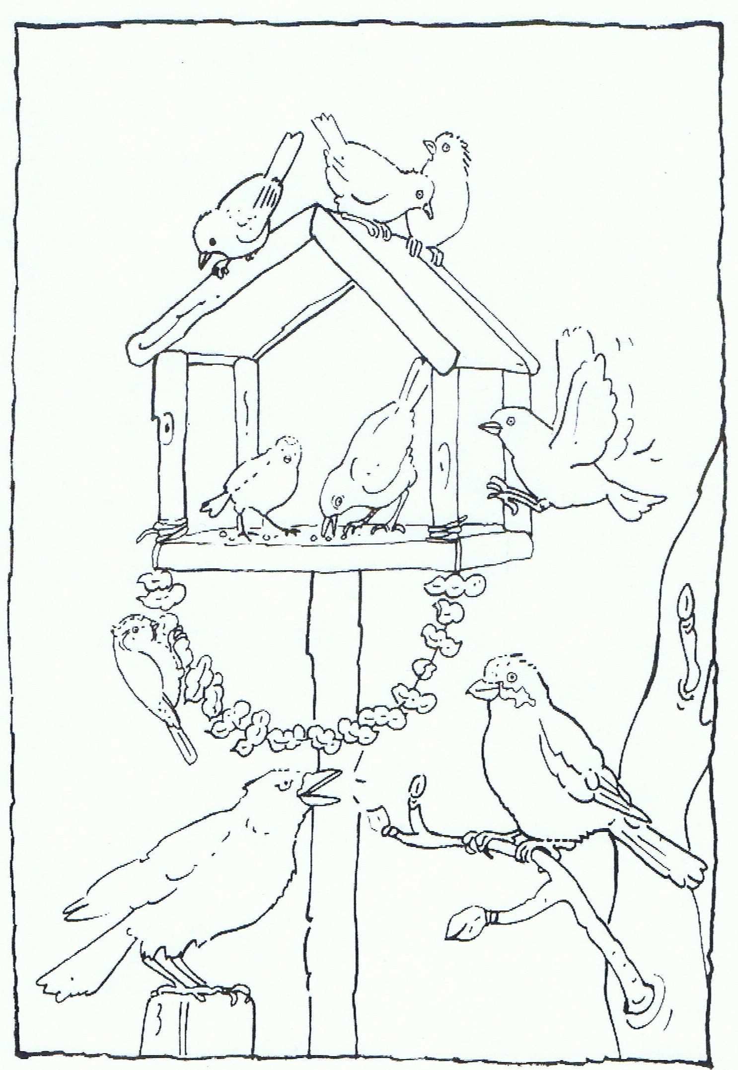 Feeding Birds In Your Garden Coloring Page Vogels Voeren In Je Tuin Kleurplaat Kleurp