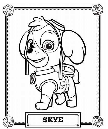 Skye Activity Pack Paw Patrol Coloring Paw Patrol Coloring Pages Paw Patrol Printable