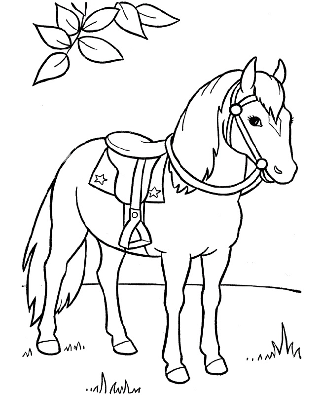 40 Desenhos De Cavalo Para Imprimir E Colorir Online Cursos Gratuitos Desenhos Para C
