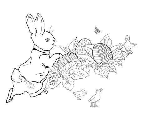 Kleurplaat Pasen Rabbit Colors Peter Rabbit Illustration Easter Illustration