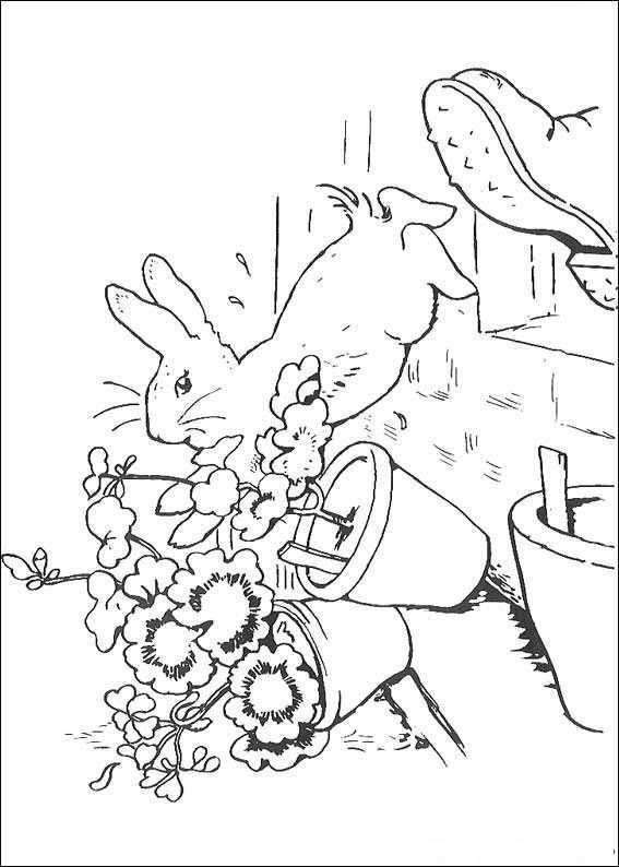 Kids N Fun Com 29 Coloring Pages Of Peter Rabbit Bunny Coloring Pages Rabbit Colors C