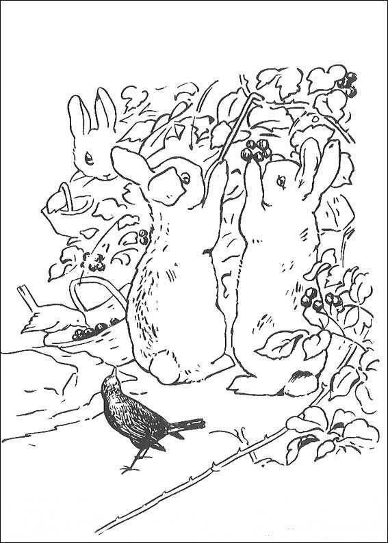 Kids N Fun Kleurplaat Pieter Konijn Pieter Konijn Peter Rabbit And Friends Rabbit Col