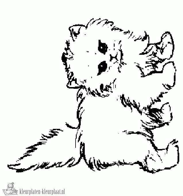 19854 Katten Kleurplaat Gif 637 680 Kittens Coloring Puppy Coloring Pages Cat Colorin