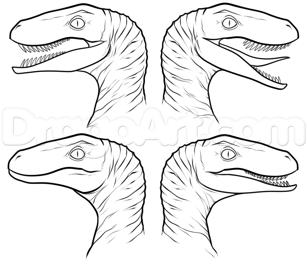 How To Draw The Raptor Squad From Jurassic World Step By Step Dinosaurs Animals Free