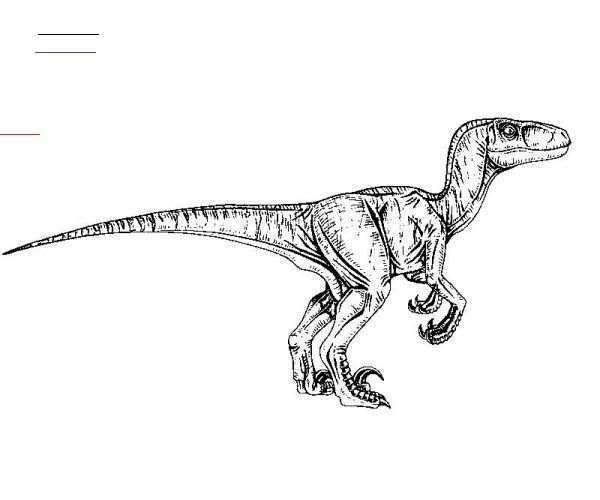 Velociraptor Color Page Jurassicparkworld Jurassic Park Dinosaurus Kleurboek