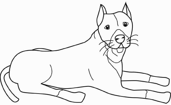 Pin On My Ideas Coloring Pages Books