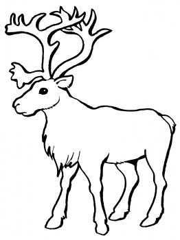 Reindeer Caribou Coloring Page Super Coloring Clipart Best Clipart Best Kleurplaten D