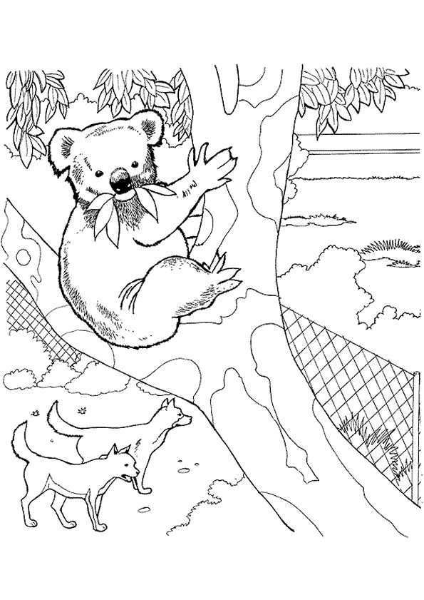 Kleurplaat Zoo Dierentuin 7112 Kleurplaten Zoo Animal Coloring Pages Bear Coloring Pa