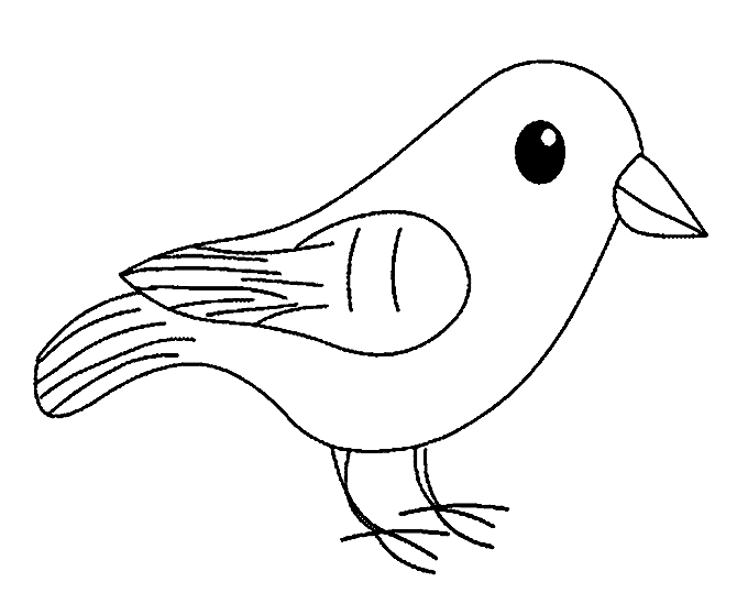 Vogel Google Zoeken Vogels Tekenen Vogels Kleurplaten