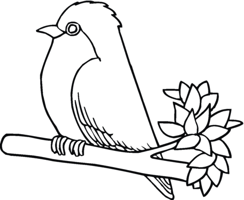 Roodborstje Op Een Tak Kleurplaat Bird Coloring Pages Free Printable Coloring Pages Coloring Pages