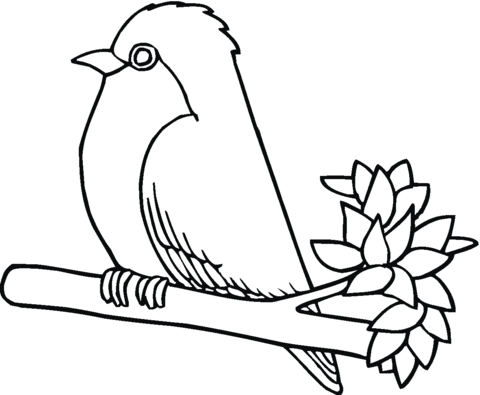 Roodborstje Op Een Tak Kleurplaat Bird Coloring Pages Free Printable Coloring Pages C