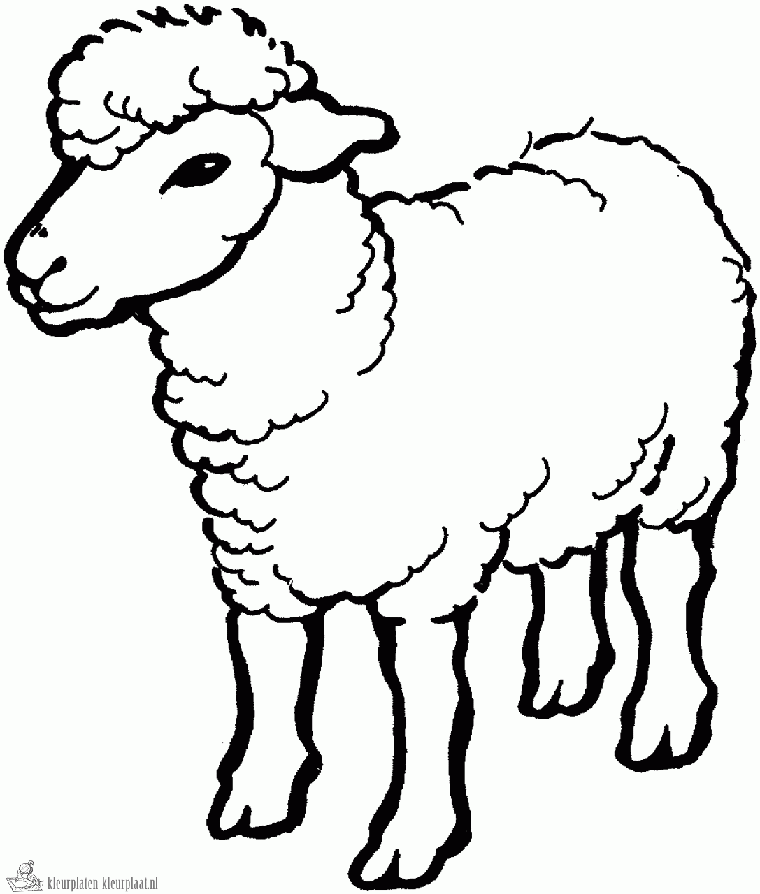 14250 Schaap Kleurplaat Gif 1087 1280 Dieren Kleurplaten Schapen Kleurplaten