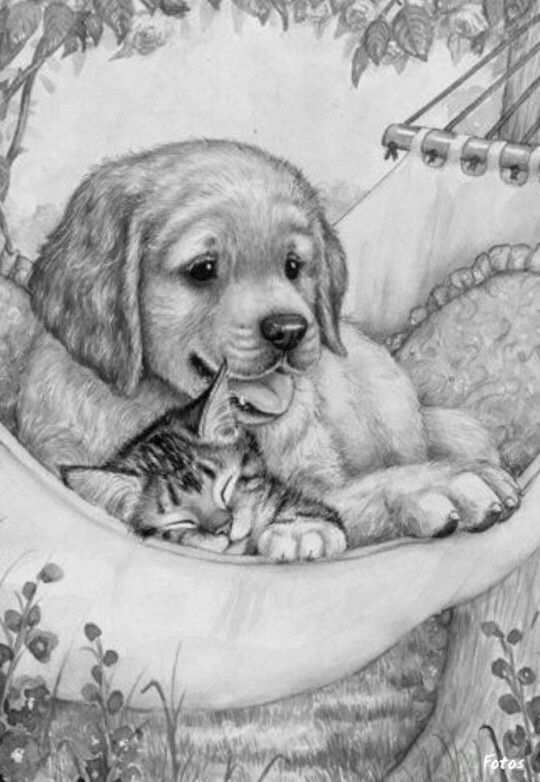 Pin Van Linda Adams Op Cats And Dogs Dieren Tekenen Hond Tekeningen Dieren Kleurplate