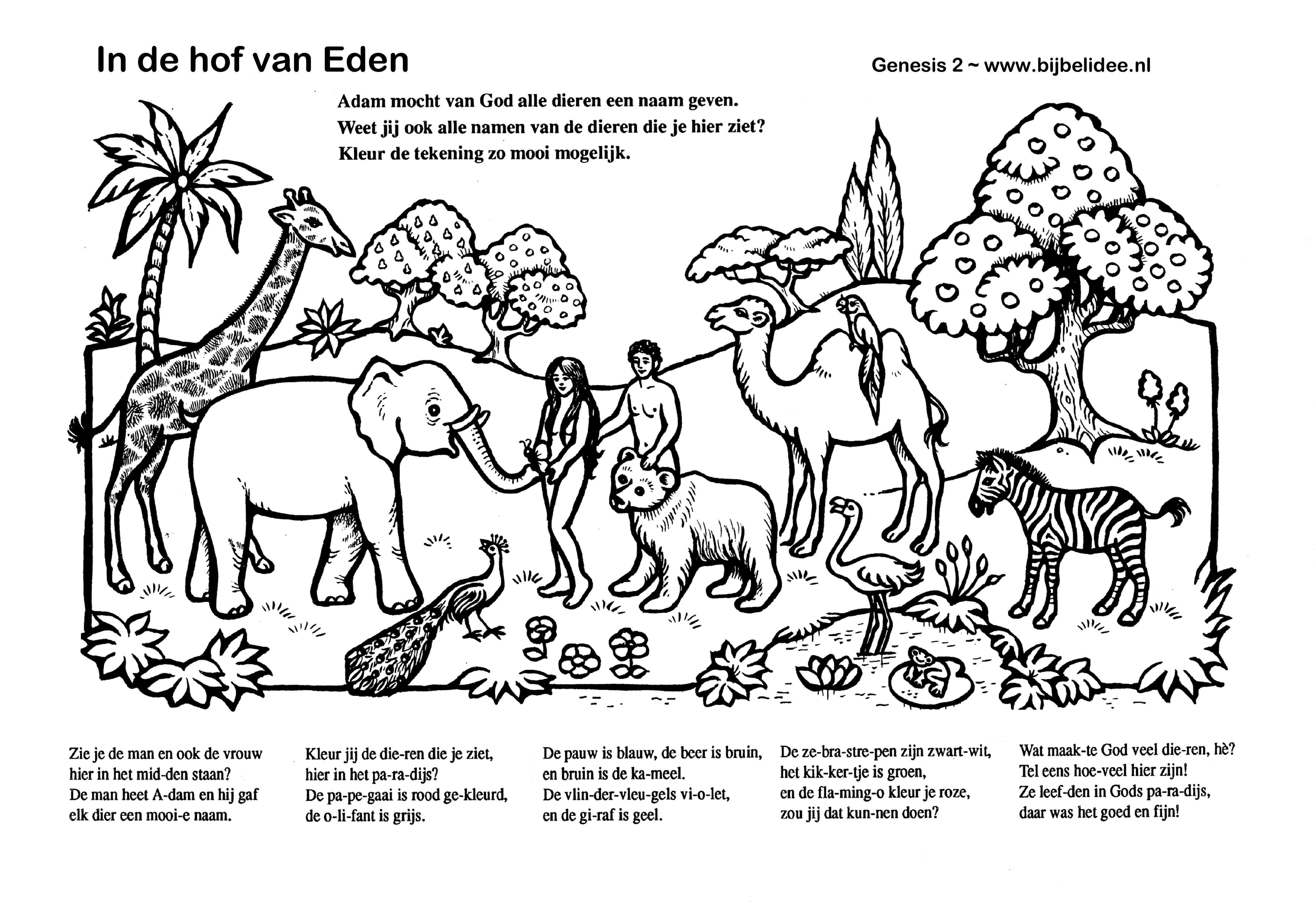 Kleurplaat In Het Paradijs Www Bijbelidee Nl Bijbel Kleurplaten Kleurplaten Werkjes