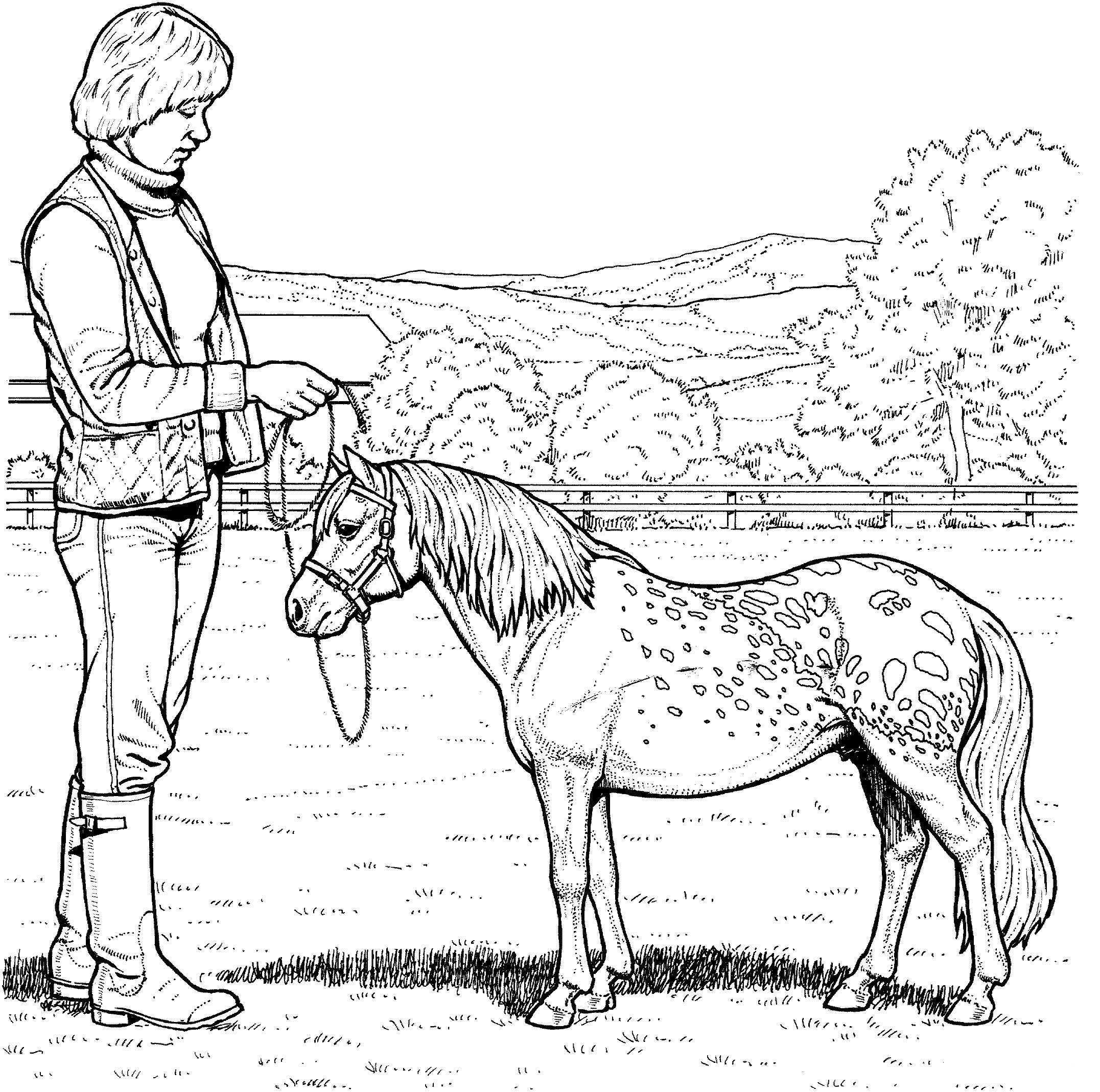Shetland Pony Coloring Page Animal Coloring Pages Horse Coloring Horse Coloring Pages