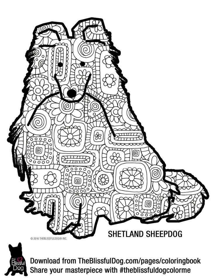 The Shetland Sheepdog Or Sheltie Needs A Bit Of Color Enjoy Dog Coloring Book Colorin