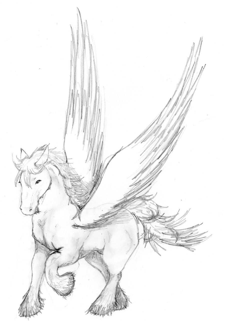 Licorne Dessin Recherche Google Unicorn Drawing Pencil Drawings Of Animals Horse Draw