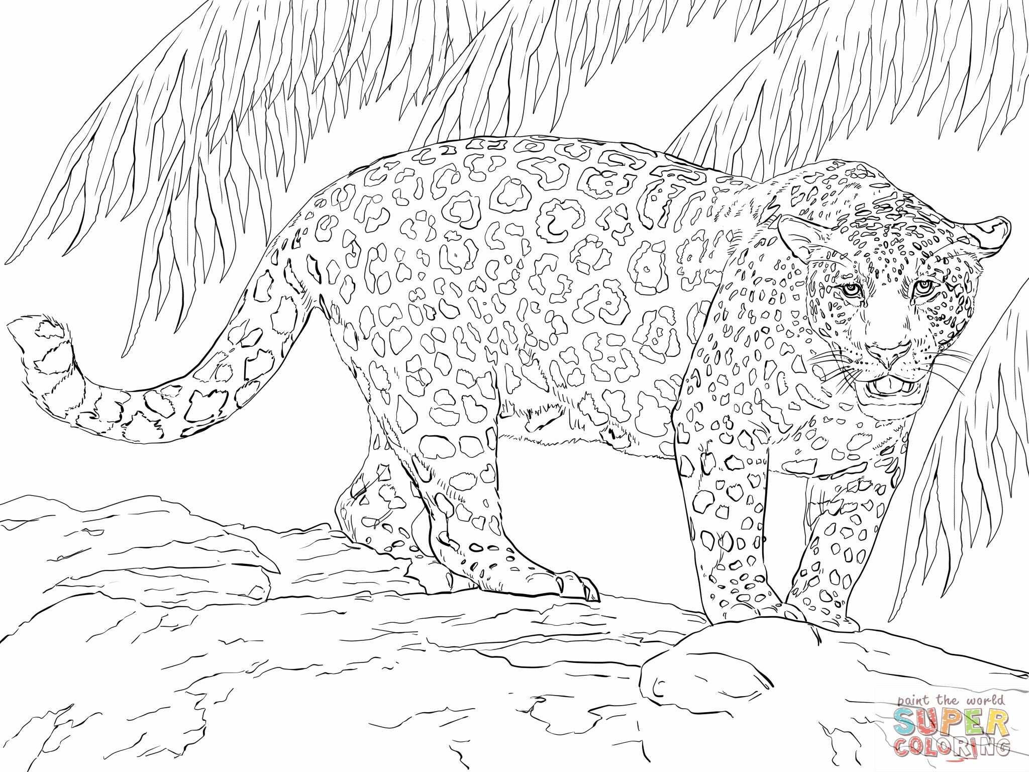 Great Jaguar Coloring Online Super Coloring Animal Coloring Pages Super Coloring Page