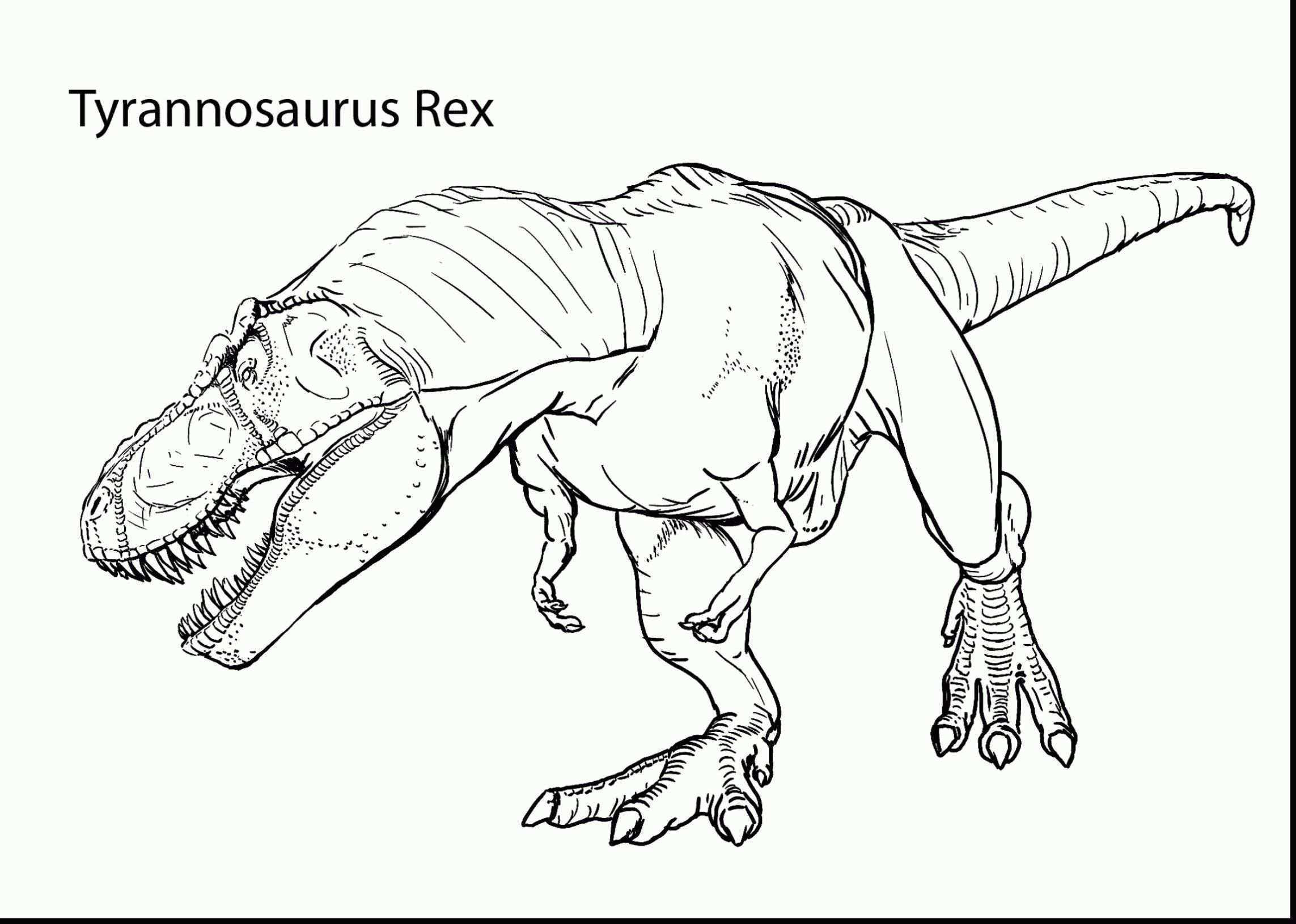 Tyrannosaurus Rex Coloring Beautiful Tyrannosaurus Rex Coloring Dinosaur Coloring Din