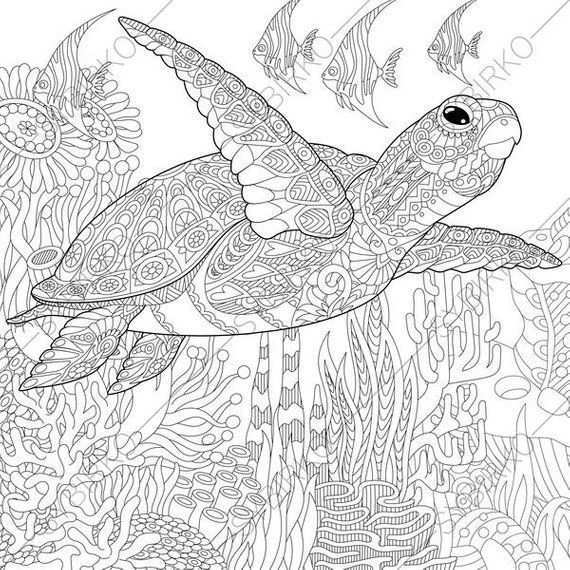 Coloring Pages For Adults Ocean World Turtle Underwater Dieren Kleurplaten Dierenteke