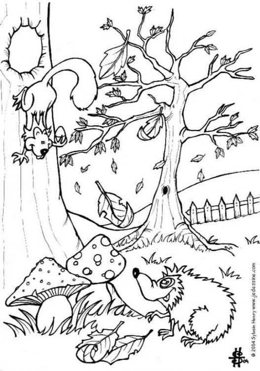 Coloring Page Forest Img 6444 Dieren Kleurplaten Herfst Herfst Bomen