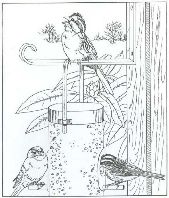 40 Coloring Pages Of Nature Around The House On Kids N Fun Co Uk Op Kids N Fun Vind Je Altijd De Leuk Coloring Pages Nature Coloring Pages Bird Coloring Pages