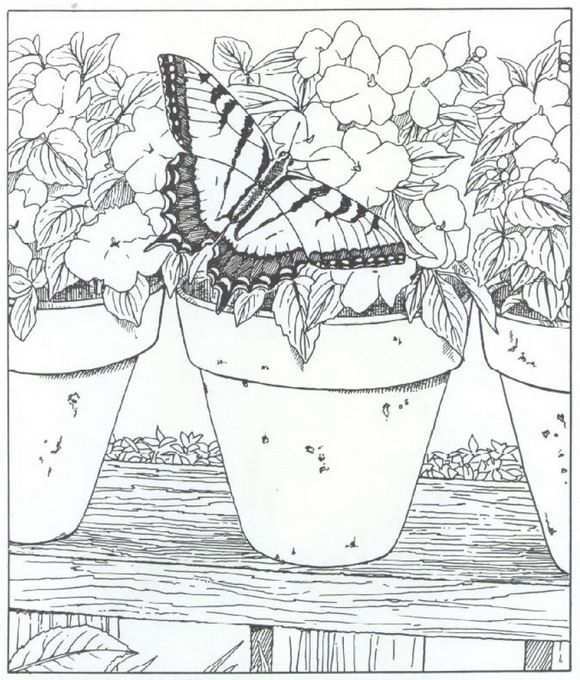 Coloring Page Nature Around The House Kids N Fun Coloring Pages Nature Animal Colorin