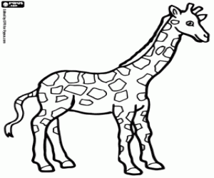 Gratis Kleurplaten Kleurboek Kleurplaten Printen Gratis Kleurplaten Giraffe Tekening