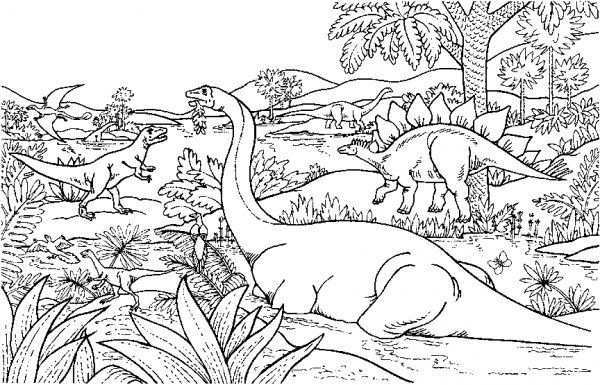 Kp Dino 12 Kinderkleurplaten Kleurplaten Dinosaurus