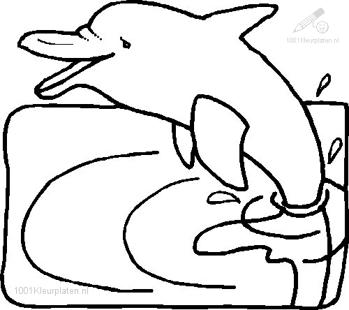 1001 Kleurplaten Dieren Dolfijn Kleurplaat Dolfijn Dolfijnen Bloemen Tekenen Dieren