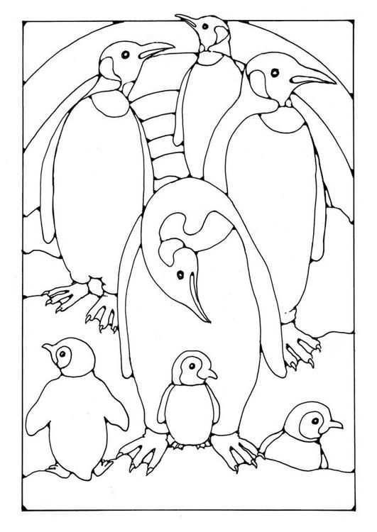 Kleurplaat Pinguins Afb 18444 Dieren Kleurplaten Kleurplaten Gratis Kleurplaten