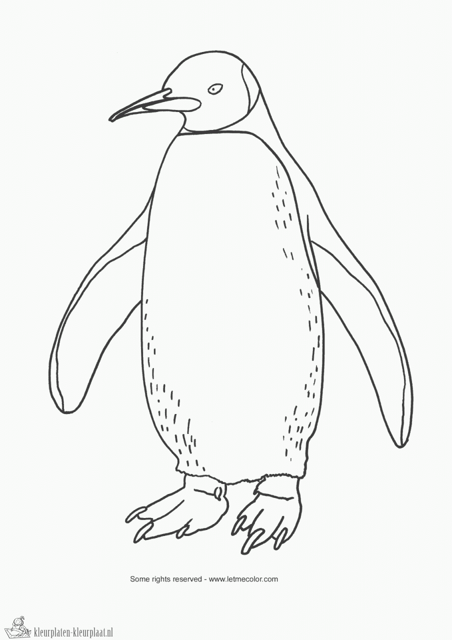 Pinguin Tekening Google Zoeken Dieren Tekenen Leer Tekenen Tekenen
