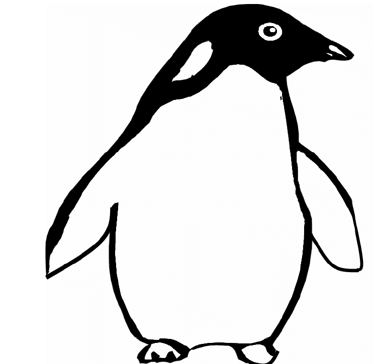 Pinguin Kleurplaten Kleurplaten Pinguins Dieren