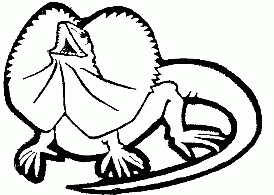 Lizard Coloring Pages Kleurplaten Tekenen Hagedissen