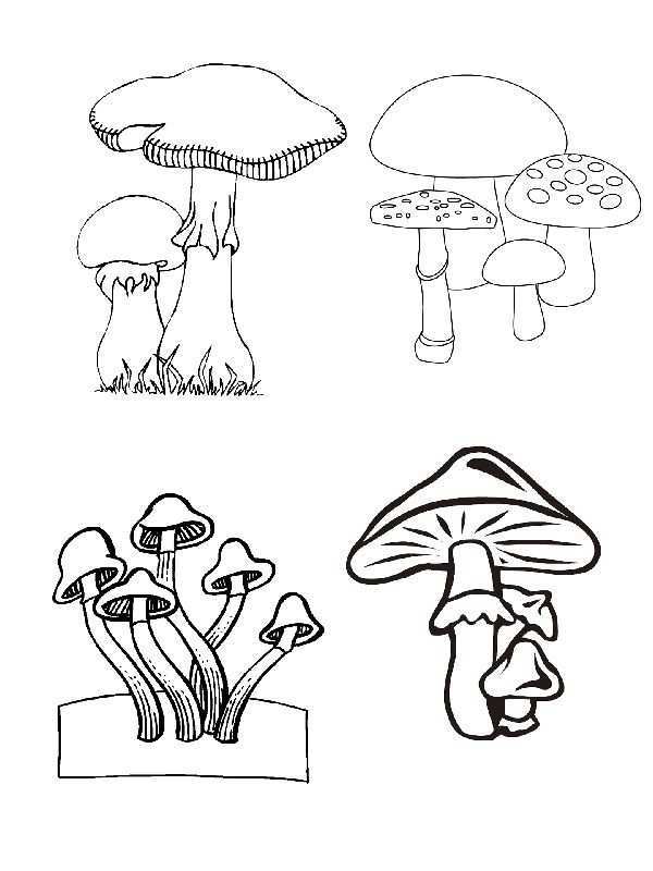 Kids N Fun Kleurplaat Herfst Paddestoelen Paddenstoel Tekening Paddestoelen Kleurplat