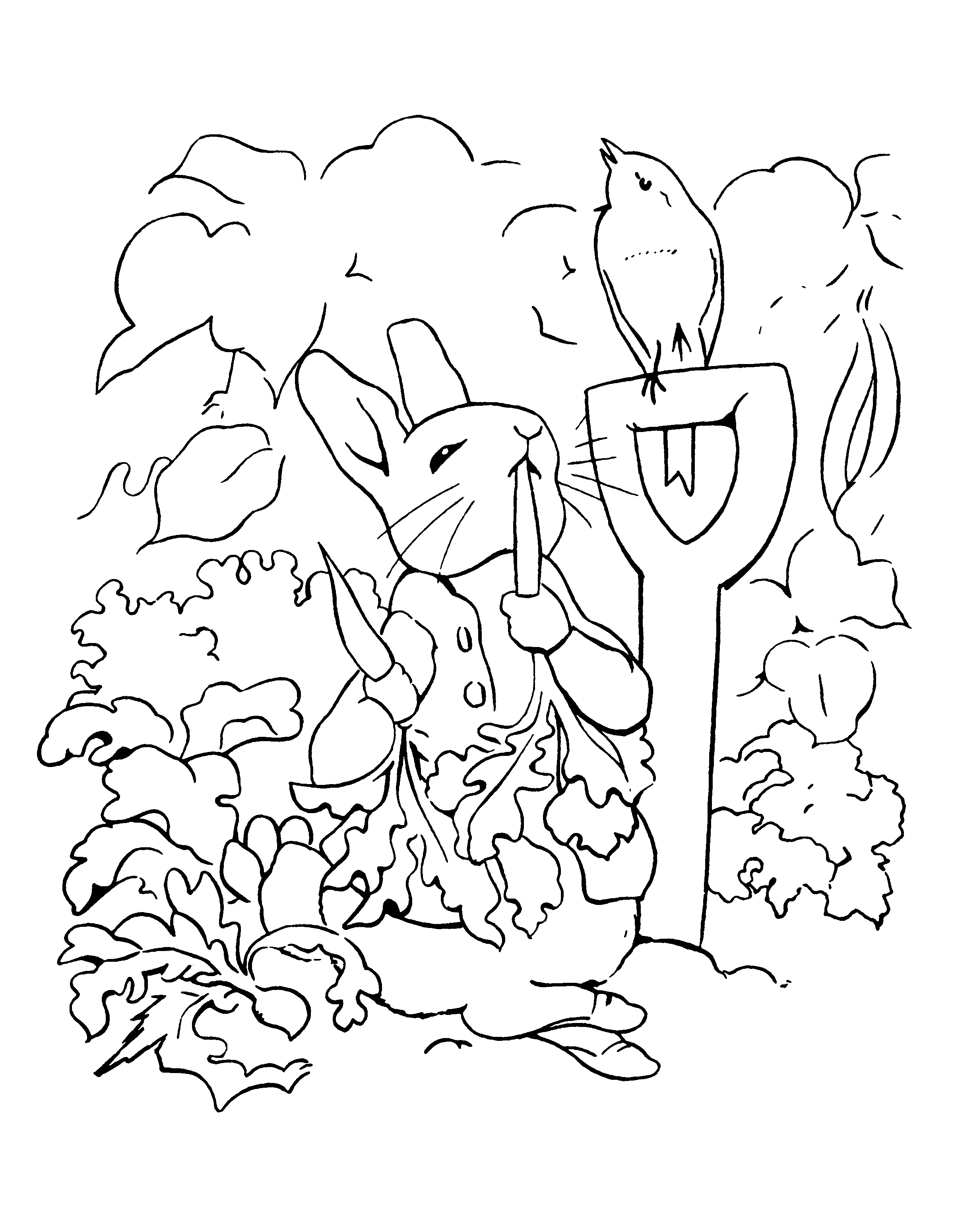 Pieter Konijn Kleurplaten Google Zoeken Peter Rabbit And Friends Colouring Pages Colo