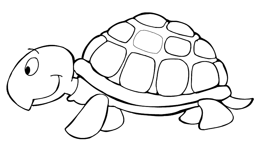 Kleurplaat Schildpad Google Zoeken Schildpad Tekening Dieren Kleurplaten Schildpad