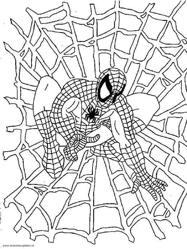 Spiderman In Spinnenweb Kleurplaten Gratis Kleurplaten Kleurplaten Voor Volwassenen