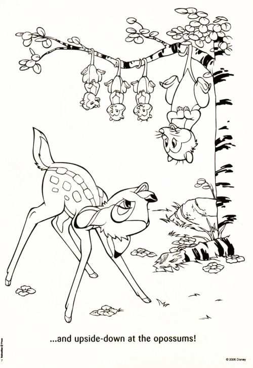 Kleurplaat Bambi Vleermuis Turtle Coloring Pages Horse Coloring Pages Cool Coloring P