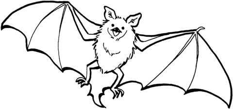 25 Desenhos Moldes E Riscos De Morcegos De Halloween Para Colorir Pintar Imprimir Esp
